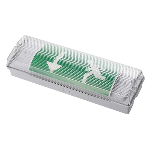 3W IP65 Waterproof Emergency Light with Ni-CD Battery Backup