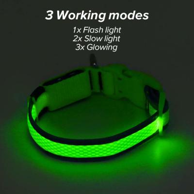 Lightweight LED Dog Collar USB Rechargeable , High Visible LED Pet Dog Collar