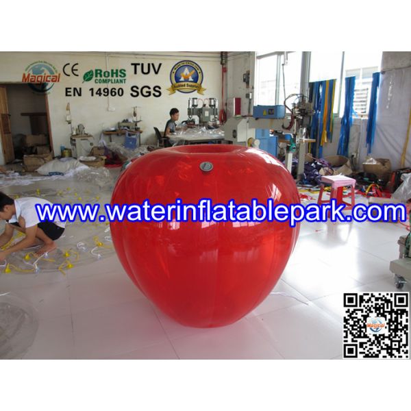 Water Games Exciting Outdoor Inflatable Bumper Ball For Adults