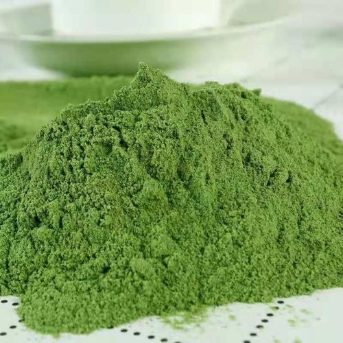 Выдержка шпината порошка шпината свежего овоща оптовая органическая красная