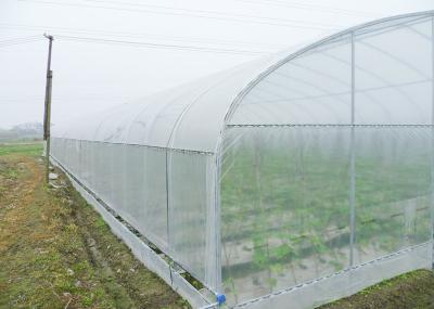 Serres agricoles en tunnel simple, tunnel plastique pour petits fruits