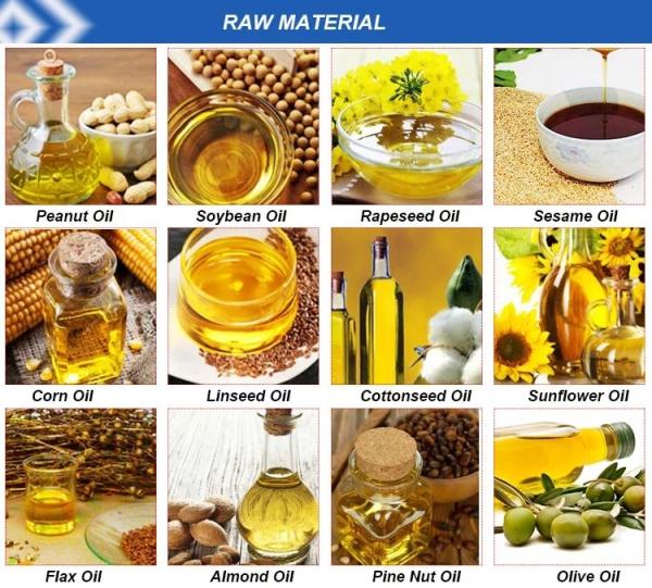 First-level Refining Carbon steel 0.5TPD edible oil refinery machine