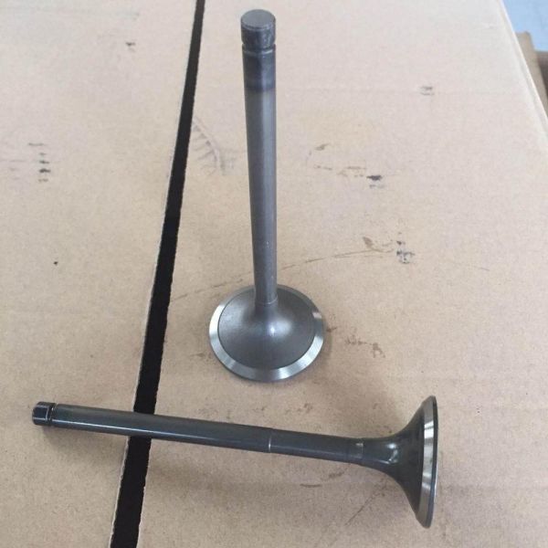 Accesorios del camión de la válvula DB31 6DB 8D8 del motor diesel de las piezas de automóvil del coche