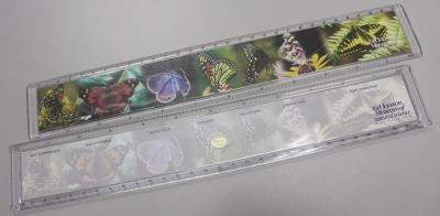 Acrylic ruler with picture