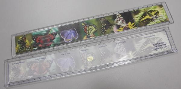 Acrylic ruler with picture