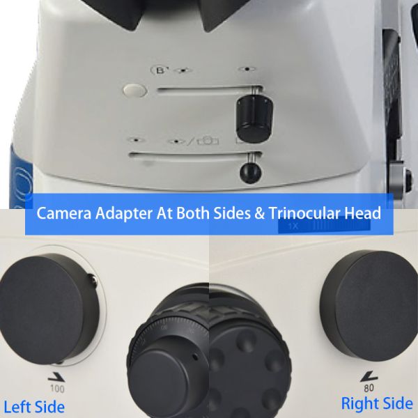 OPTO EDU A14.1096 Laboratory 22mm Inverted Fluorescence Microscope