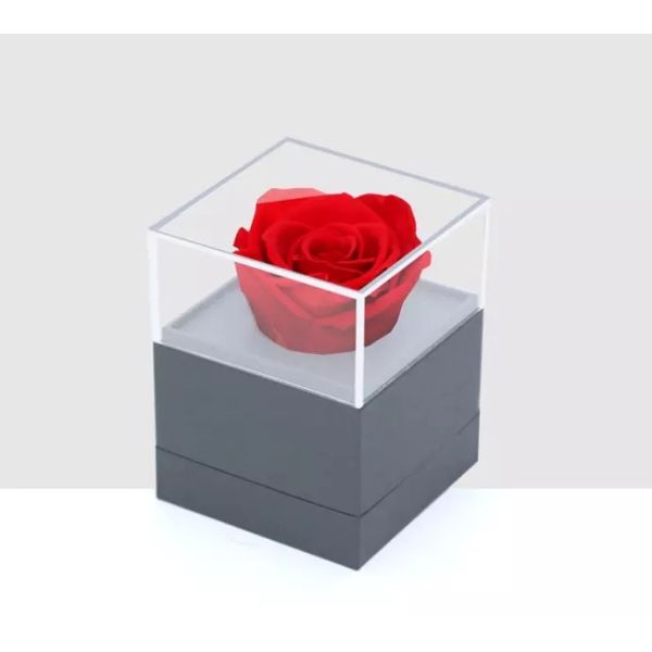 rose grade a preserved rose Wholesale beauty and the beast rose grade a preserved rose