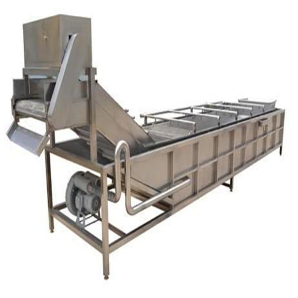 300kg/H Vegetable Fruit Washer Bubble Washing Machine