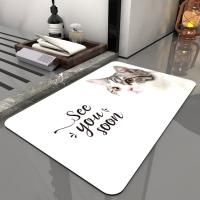 Anti Bath Mat Quick Drying Super Absorbent de glissement de Microfiber