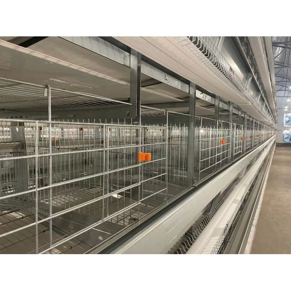 Durable H Type Poultry Breeding Cages Good Ventilation And Lighting