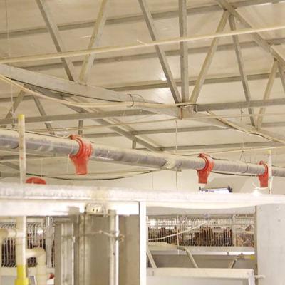 380V Cage House Poultry , Automatic Layer Poultry Equipment Long Life Span