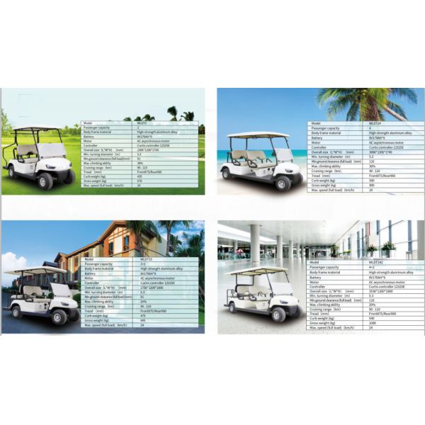 3000 R/Min Rated Speed Electric Golf Carts with CE Certification and Multi Functional