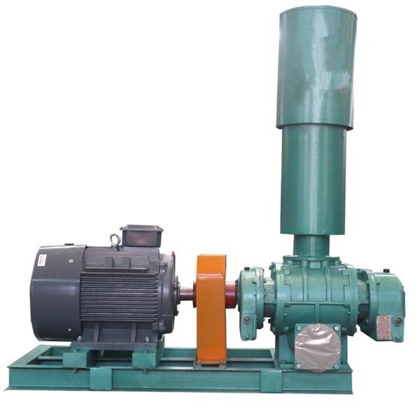 Sewage Treatment Direct Transmission Three Lobes Roots Air Blower