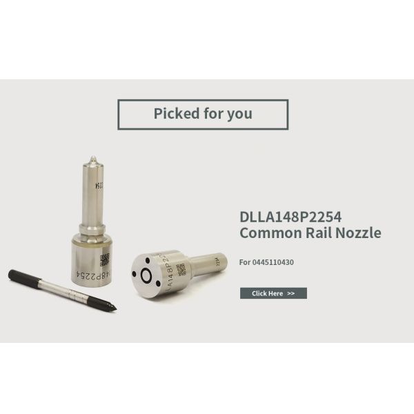 0445110430 Bosch Injector Repair Kit