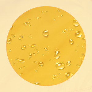 Dog Waterproof Raincoat with Poncho Hoodie, High Reflective Adjustable Yellow Pet Rain Jacket with Leash Hole