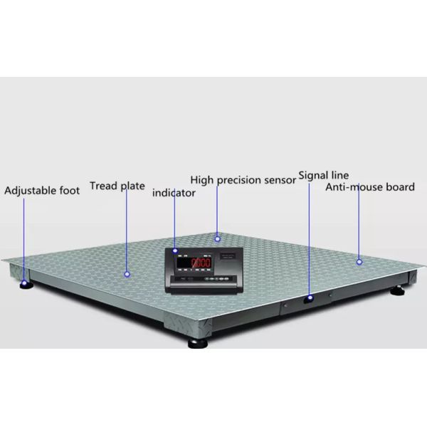Electronic Heavy Duty Weighing Scale 1000kg 2000kg 3000kg 5000kg With Printer