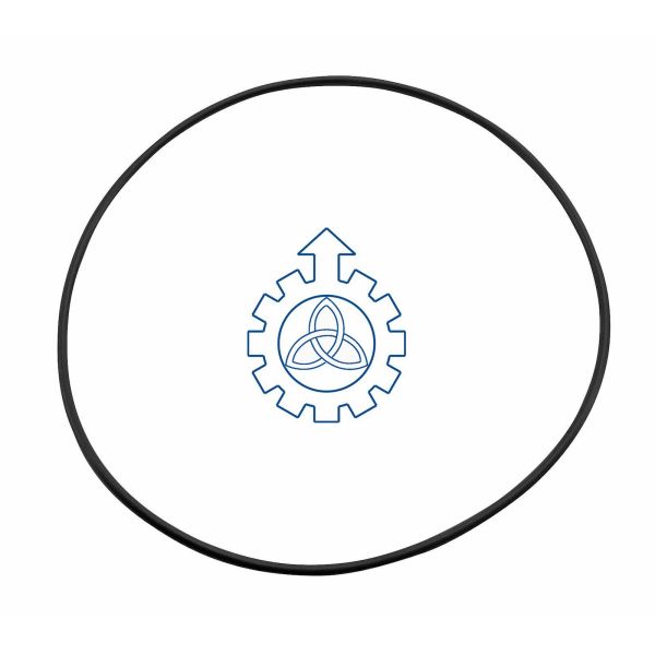  O-ring 925266,42102399