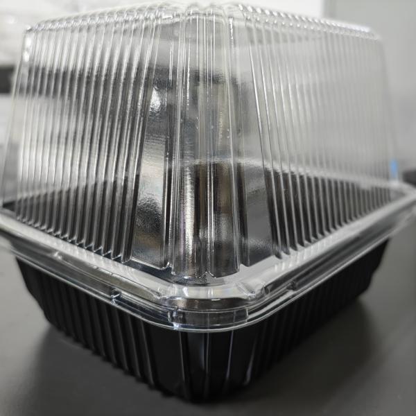 Caja de envasado de plástico PET desechable para sembrar brotes de judías y verduras