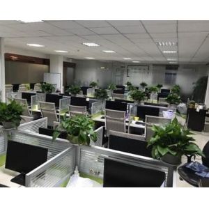 Medenstar Co.Ltd