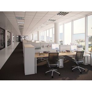 Wei County Chengxiang Supply Chain Management Co., Ltd.