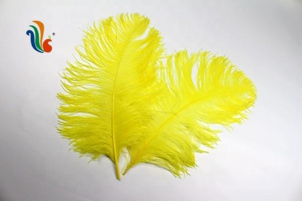 Plumes de penas de avestruz de 40-45cm para eventos