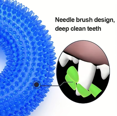 Upgrade Your Dog's Playtime with Pet Dog Toy Toroidal Ball Bite Resistant and Fun