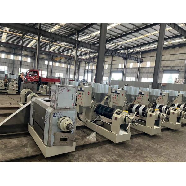Black Seeds Oil Press Machine High Oil Rate Automatic Oil Press Oil Factory Line Equipment