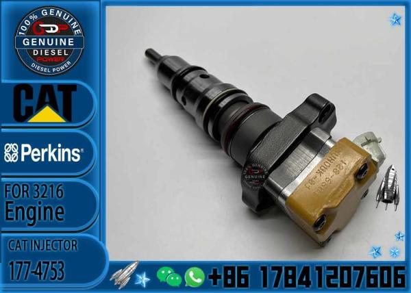Fuel Injector  171-9704 10R-1306 10R-1257 229-8842 178-6342 178-6343 177-4752 177-4753 For Engine Caterpillar 312