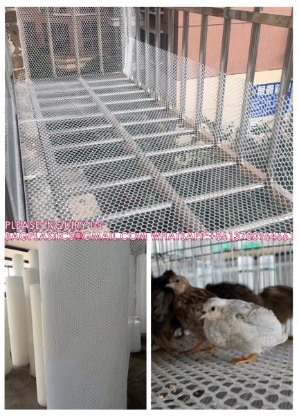 Customized Plastic Flat Breeding Mesh Bird Safety Net For Chicken Farm Poultry Net Cage
