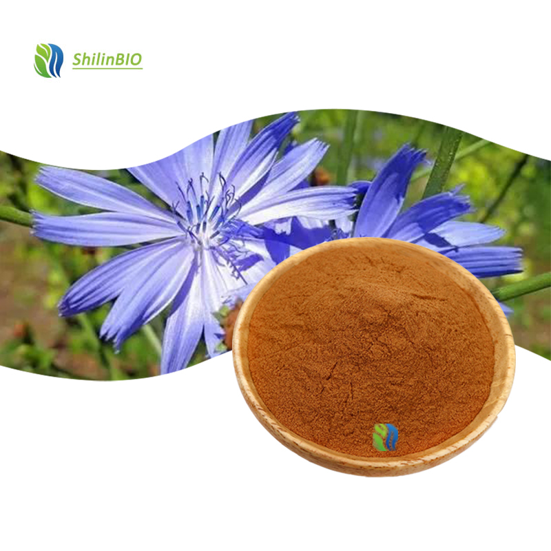 High Quality 1%-4%  Cichoric Acid Powder CAS 6537-80-0 ISO/HACCP