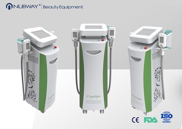 Beautiful sexy female bodies 2014!Cryolipolysis criolipolisys fat freezer forslimming body