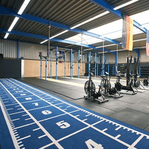 CE ISO9001 ISO14001 Certified Dorelom Training Athletic Turf Mat for Fitness Flooring