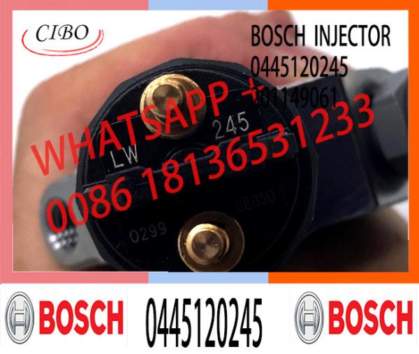 Peças do caminhão & injetor comum 0445120245 do trilho dos acessórios 0 445 120 153 para KAMAZ 5460 Euro 5480 62115 4 201149061