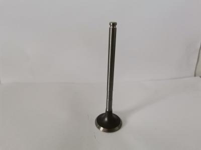 54294014 Auto Exhaust Valve For Peugeot 206 307 Picasso 2.0 16v Ew10
