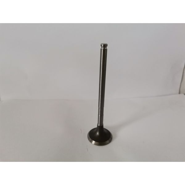 54294014 Auto Exhaust Valve For Peugeot 206 307 Picasso 2.0 16v Ew10