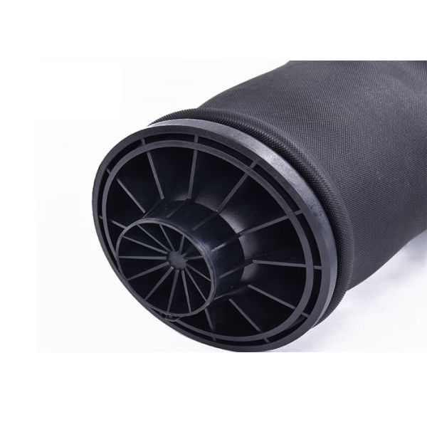 1643201025 Rear ML320 ML350 Air Suspension Spring