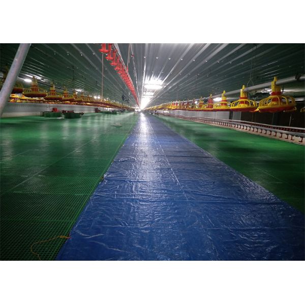 Сталь дома птицы составляет строя структуру склада дома голубя стальную