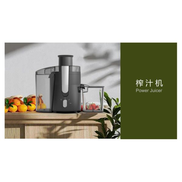 Commercial Automatic Stainless Steel Blade Fruit Centrifugal Juicer for Smoothie Fans