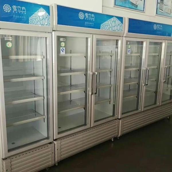 2 Glass Door Display Freezer Cabinet Air Cooled Blue Series Fresh Keeping