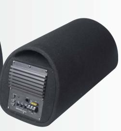 Professional 8 Inch Custom Subwoofer Box , Car Underseat Subwoofer Portable