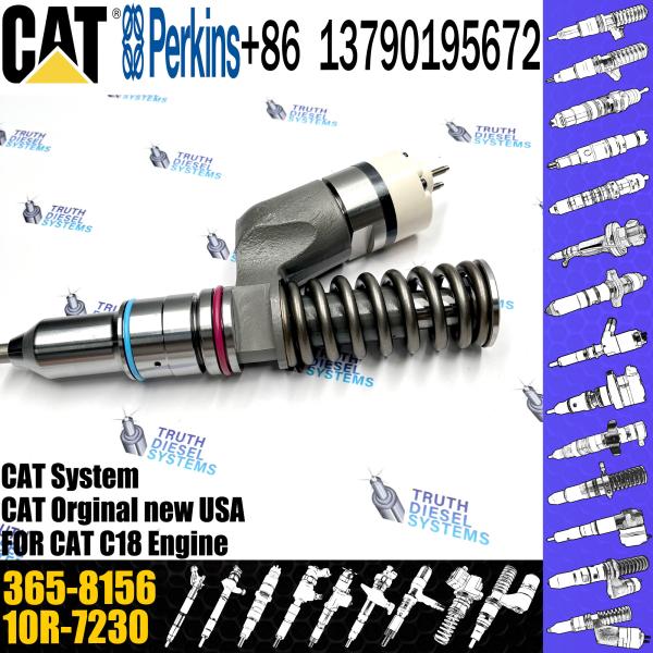 Injecteur commun rail 10R-9787 365-8156 253-0618 10R-0724 295-9085 211-3028 374-0705 pour une pelle à moteur Caterpillar C18