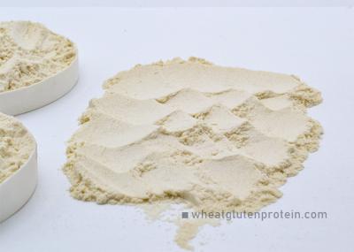 Pão de glúten de trigo vital seco, amarelo claro 85% teor de proteína