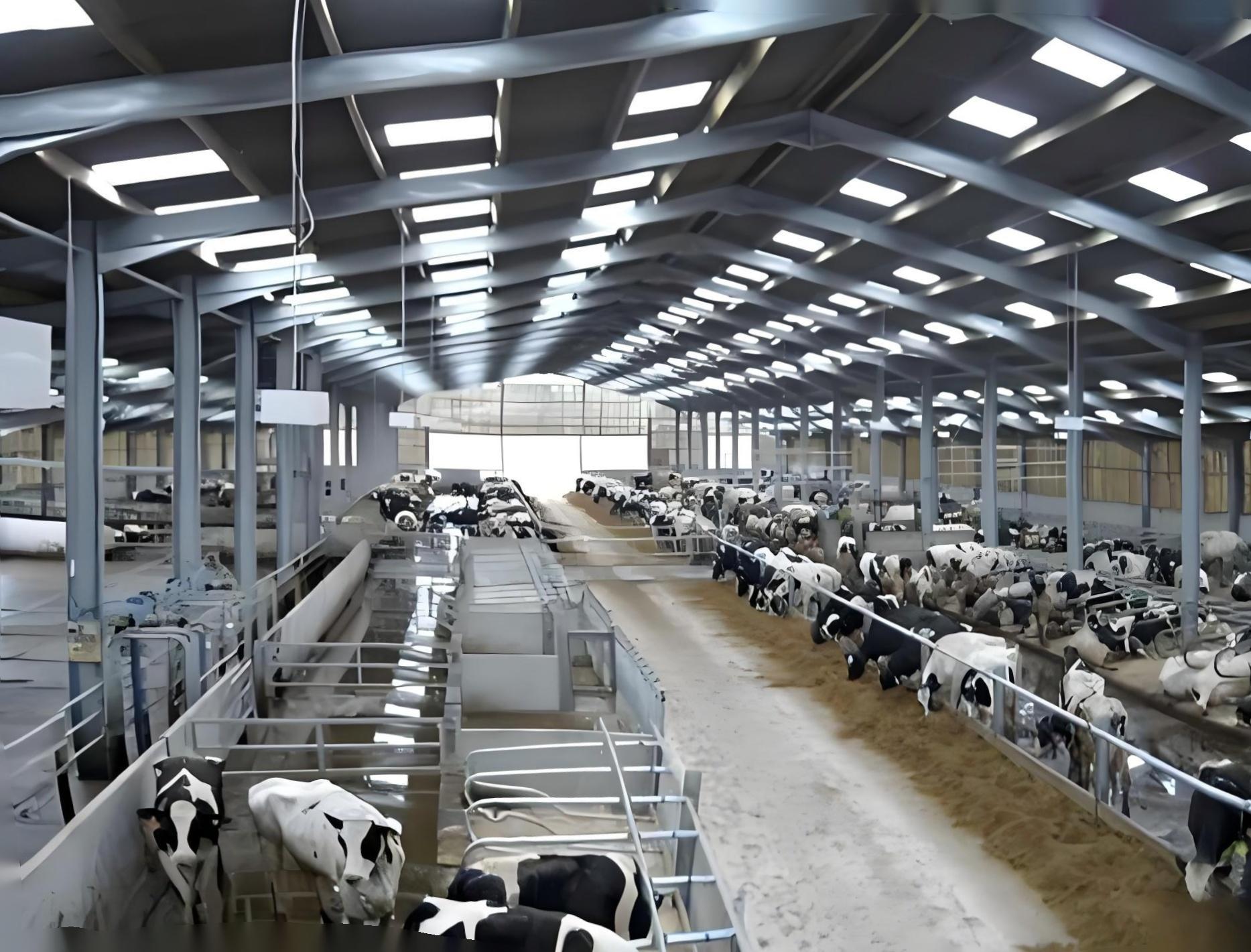 ASTM C518 ISO8301 Steel Structure Poultry House Hot Dip Galvanized Broiler Farm House