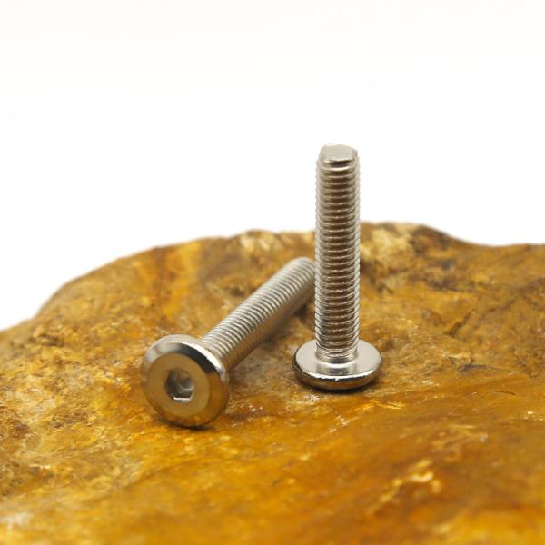 Customized stainless steel hex socket screws Allen Screw
