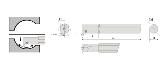 MGIVR/L