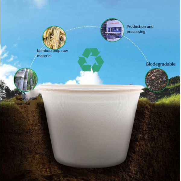 Biodegradable багасса сахарного тростника придает форму чашки устранимая чашка 12oz пульпы волокна принимает вне