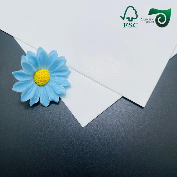 FSC 210g Food Grade C1S SBS Solid Paper Card   One Side Coated 30 40in white cardboard