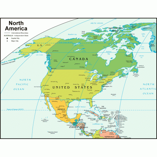 Optimal International E Commerce Logistics North America Import  Overall Business