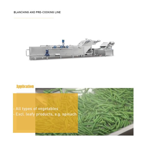 Silver 304 Stainless Steel Potato French Fries Blanching Machine for Your Business