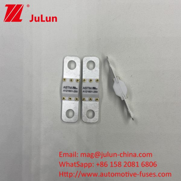 電気自動車 電池 エネルギー貯蔵 モーターサイクル 自動車 ブレード ファイューズ 50A-350A